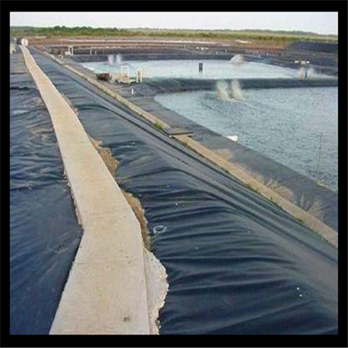 ��ʲô�f�B(y��ng)�~�ر���M(j��n)�з��B̎����