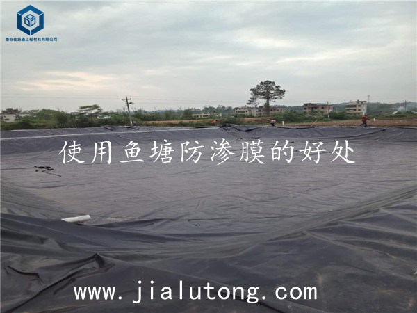 �~(y��)�����BĤ�S��